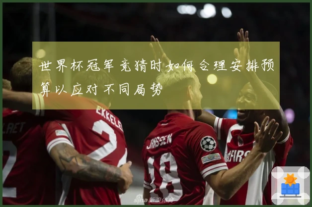 世界杯冠军竞猜时如何合理安排预算以应对不同局势