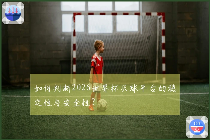 如何判断2026世界杯买球平台的稳定性与安全性？