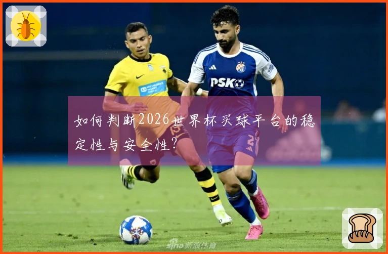 如何判断2026世界杯买球平台的稳定性与安全性？