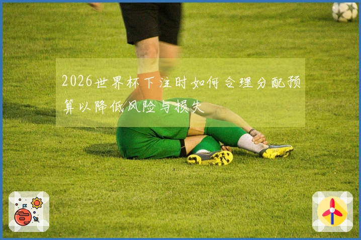 2026世界杯下注时如何合理分配预算以降低风险与损失