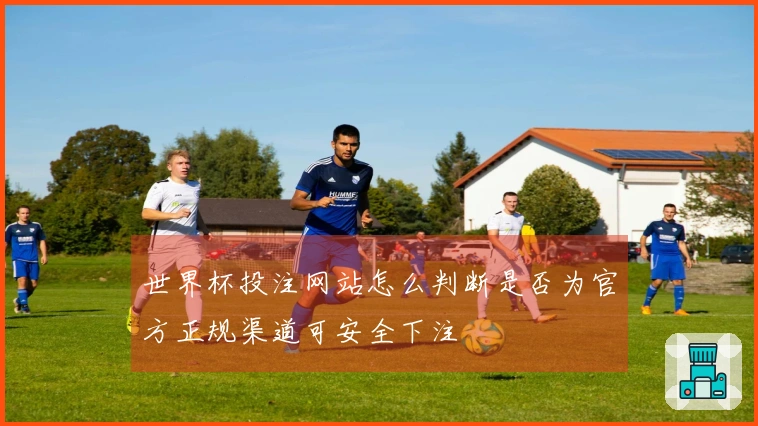 世界杯投注网站怎么判断是否为官方正规渠道可安全下注