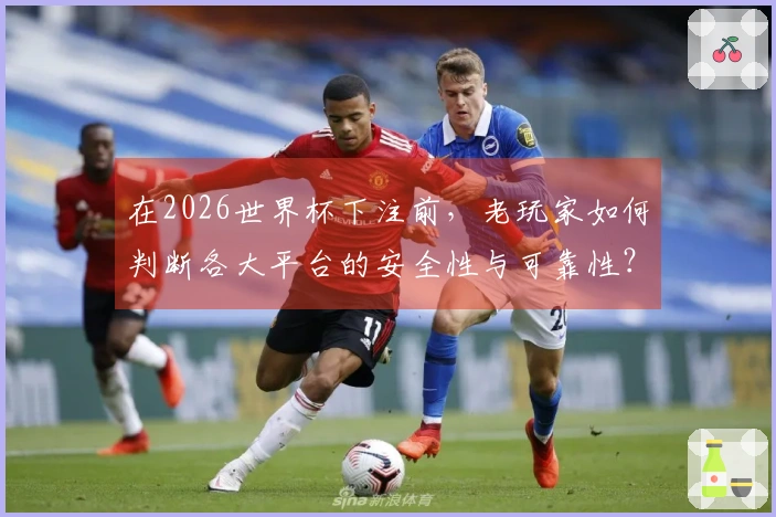 在2026世界杯下注前，老玩家如何判断各大平台的安全性与可靠性？