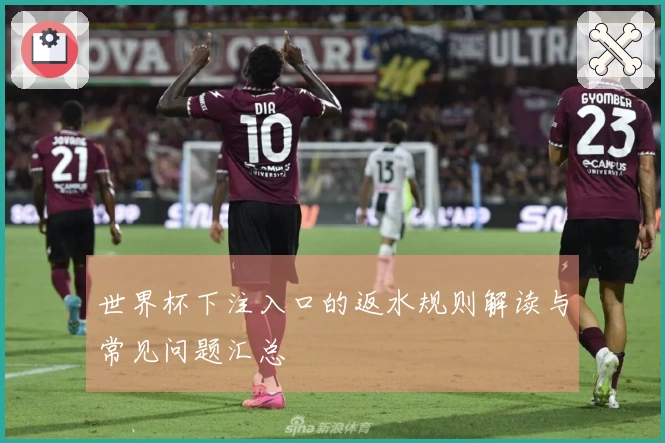 世界杯下注入口的返水规则解读与常见问题汇总
