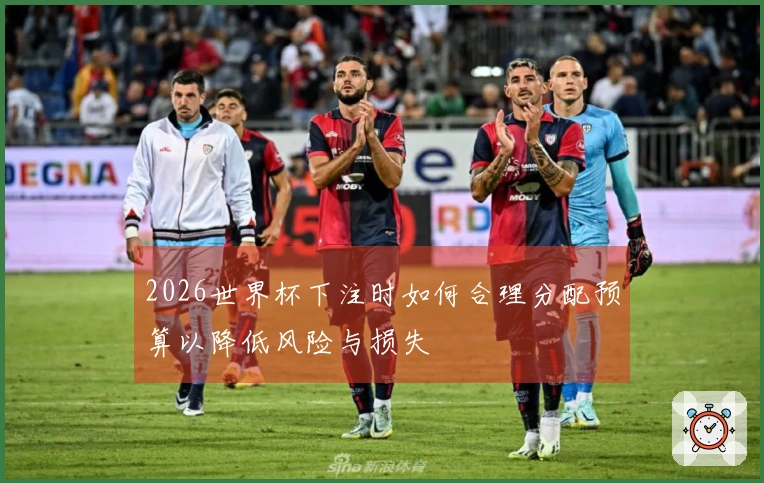 2026世界杯下注时如何合理分配预算以降低风险与损失