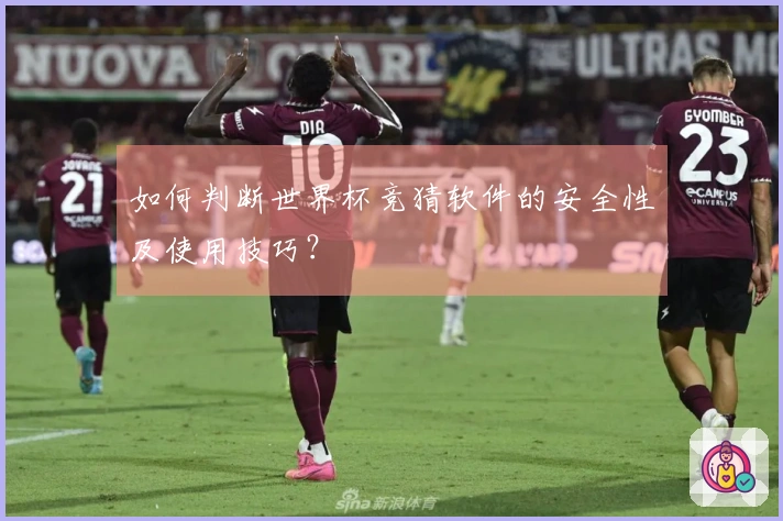 如何判断世界杯竞猜软件的安全性及使用技巧？