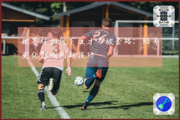 世界杯如何下注才不被套路：赔率变化影响判断技巧