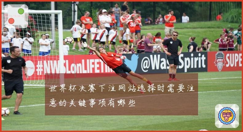世界杯决赛下注网站选择时需要注意的关键事项有哪些