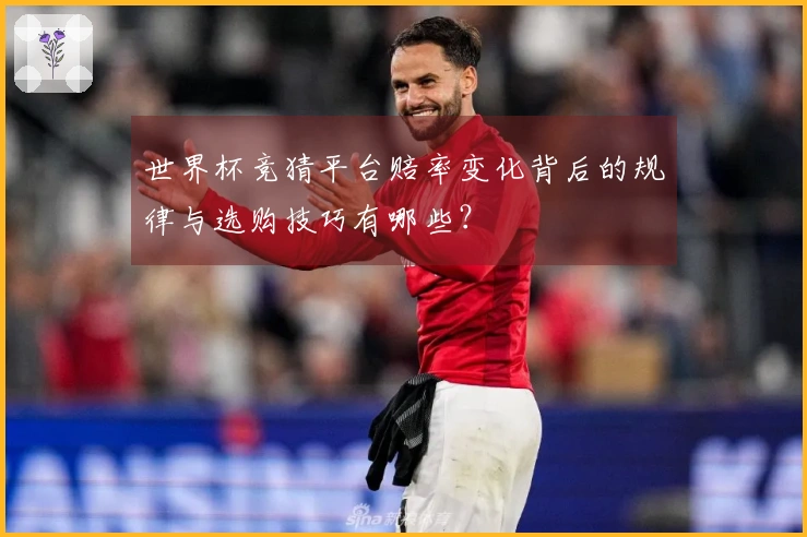 世界杯竞猜平台赔率变化背后的规律与选购技巧有哪些？