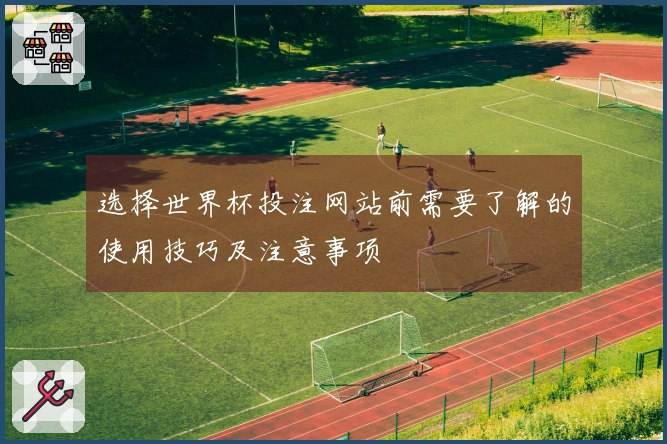选择世界杯投注网站前需要了解的使用技巧及注意事项