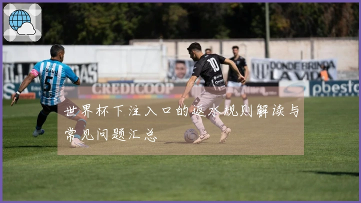 世界杯下注入口的返水规则解读与常见问题汇总