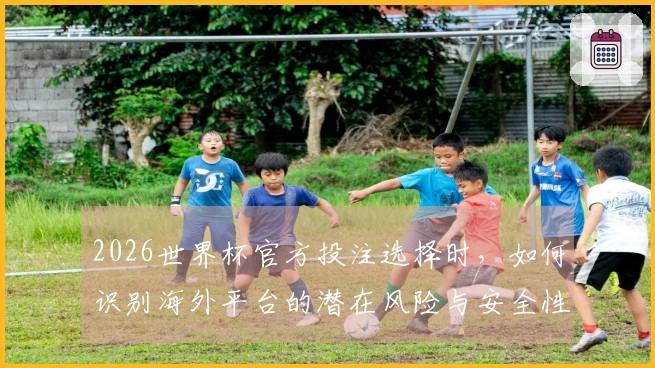 2026世界杯官方投注选择时，如何识别海外平台的潜在风险与安全性？